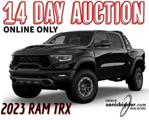 14 Day Auction Ends on 2/1