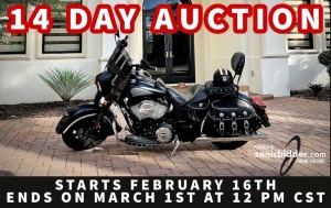 14 Day Auction Ends on 3/01