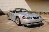 2004 Ford Mustang 40th Anniversary - 11