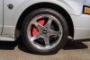 2004 Ford Mustang 40th Anniversary - 112