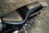 2001 Harley Davidson Softail - 10