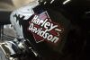 2001 Harley Davidson Softail - 18