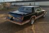 1983 Oldsmobile Cutlass Hurst 15th Anniversary Edition - 5