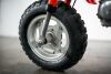 1984 Honda Z50R Motorcycle - 36