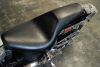 2001 Harley Davidson Softail - 6