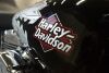 2001 Harley Davidson Softail - 14
