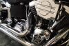 2001 Harley Davidson Softail - 15