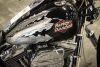 2001 Harley Davidson Softail - 18