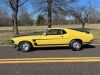1969 Ford Mustang Boss 302 - 10