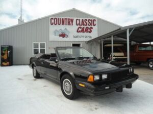 1985 Buick Century (Custom Convertible)