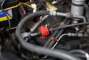 1981 Chevrolet C10- No Reserve - 78