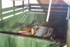 1994 Hummer M1 Military Trailer - 39