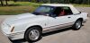 1984 Ford Mustang GT350 Convertible (1 of 104) - 2